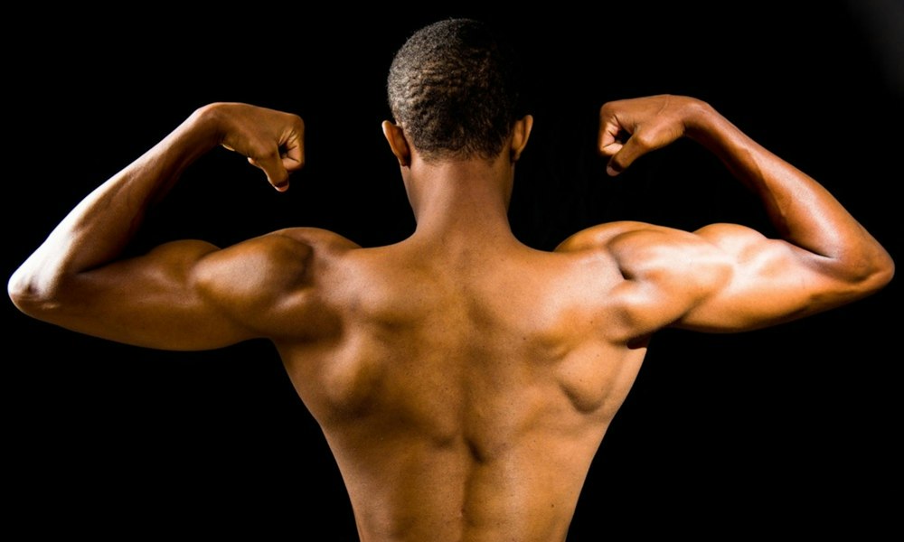 Metenolone acetate: oestrogens and progestogens